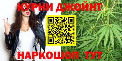 прущие грибы Заводоуковск