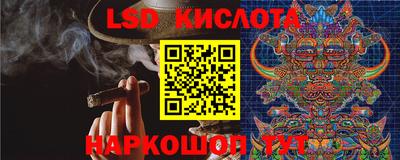 прущие грибы Заводоуковск