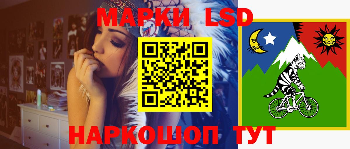 Курчалой  Лсд 25 экстази  Вход с VPN  ЛСД экстази ecstasy 