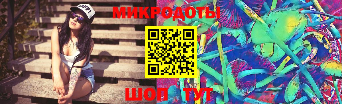 Курчалой  Псилоцибиновые грибы прущие грибы  Вход с VPN 