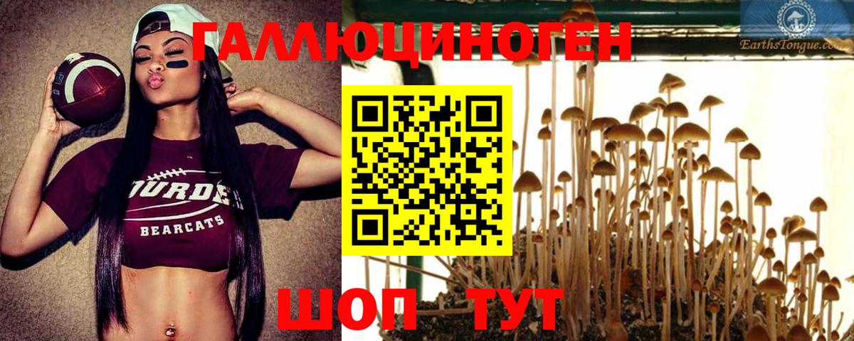 Псилоцибиновые грибы мухоморы Курчалой